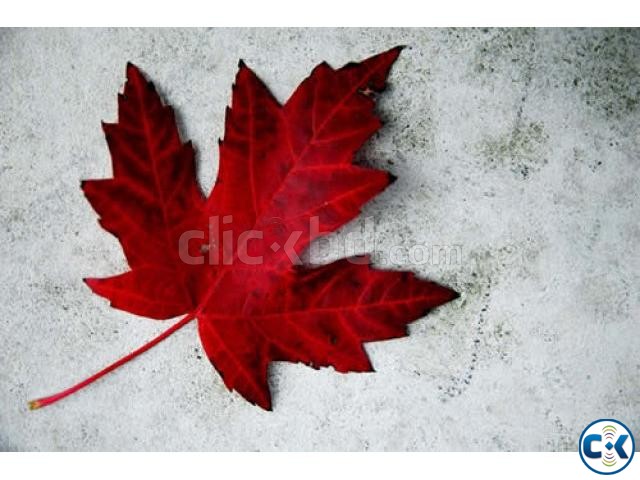 Opportunity For CANADA Visa large image 0