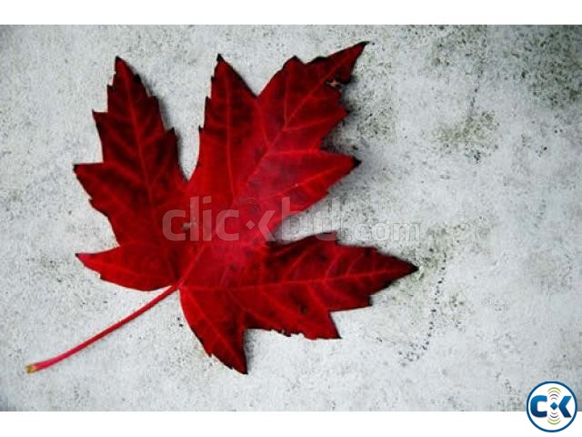 Opportunity For CANADA Visa large image 0