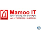 Mamoo IT Website Analyst