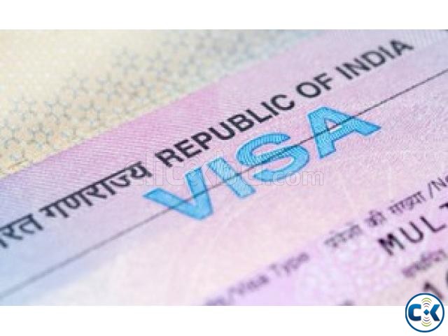 INDIAN VISA e-TOKEN large image 0