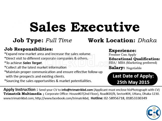 Marketing Sales Executive large image 0