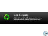 professional data recovery