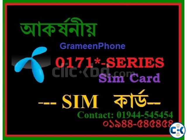 0171 -SERIES SIM Card large image 0