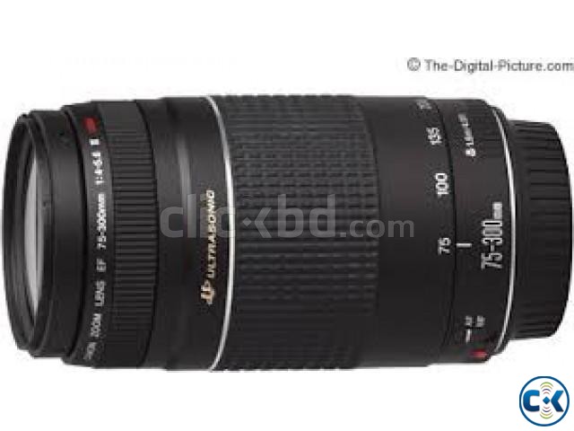 Canon Ultrasonic EF 75-300mm USM DSLR Camera Lens large image 0