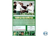 Formalin Less Mango. Order for home Delivery