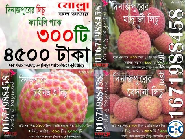 Bedena China 3 Madraj Lichu Combo Offer from Dinajpur large image 0