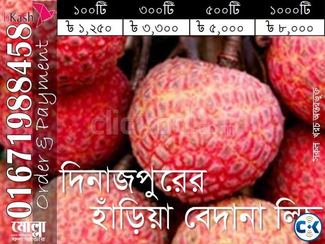 Haria Bedana Lichu of Dinajpur large image 0