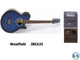 Acoustic Guitar