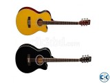 Acoustic Guitar
