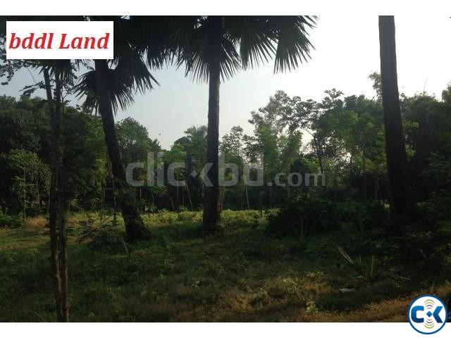 Pubail Gazipur Road Face Land 2 Bigha large image 0