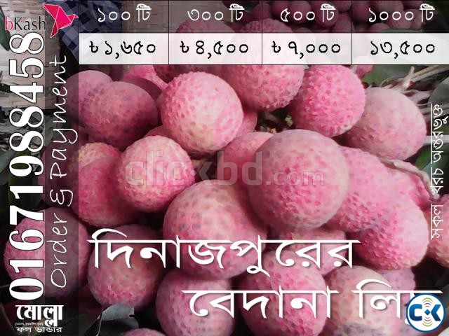 Bedana Lichu of Dinajpur large image 0