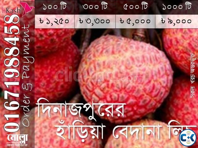 Haria Bedana Lichu of Dinajpur large image 0