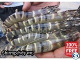 Shrimp Black Tiger FreshFishBD