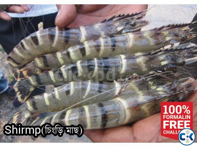 Shrimp Black Tiger FreshFishBD large image 0