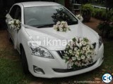 Allion For Rent In Wedding