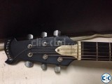 Signature semi electric guitar