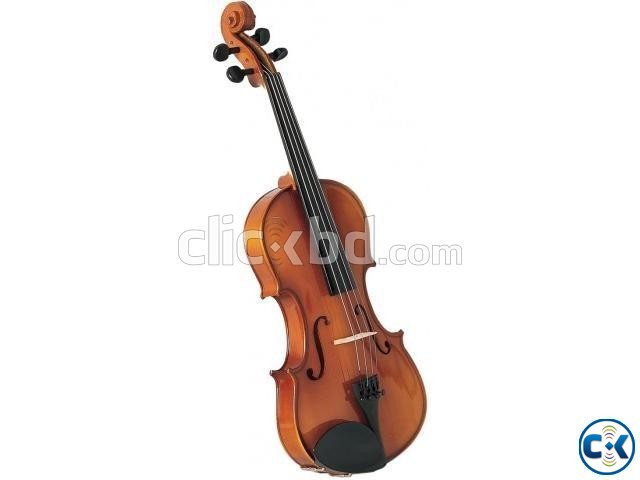 Anisha violin mv-18 EXclusive large image 0