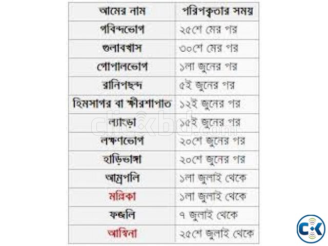 অল্প দামে চাঁপাই নবাবগঞ্জের সুমিষ্ট ফজলি আম ৫০ টাকা কেজি large image 0