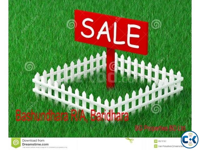 3 katha Plot Land N Block Bashundhara Baridhara large image 0