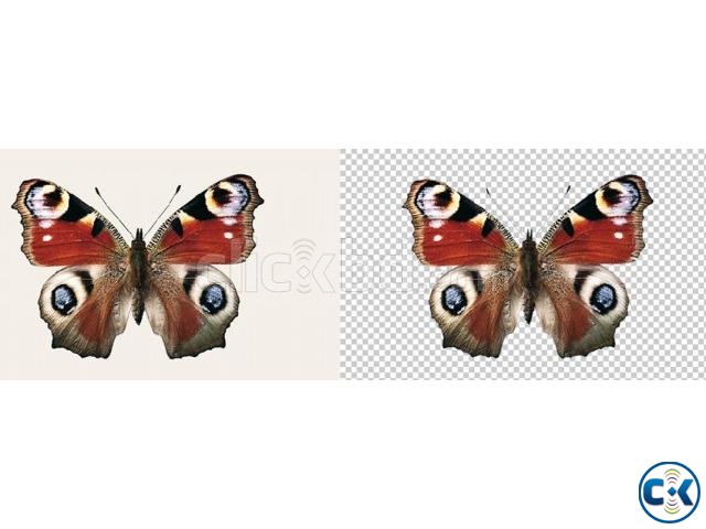 Photoshop Clipping path service provider large image 0