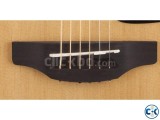 Takamine GD10-NS