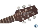 Takamine GD10-NS
