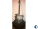 signature acoustic guitar