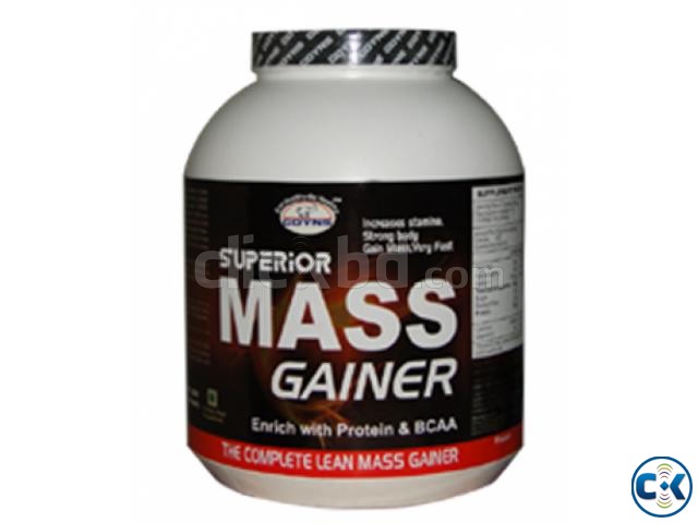 GDYNS Superior Mass Gainer 3000gm large image 0