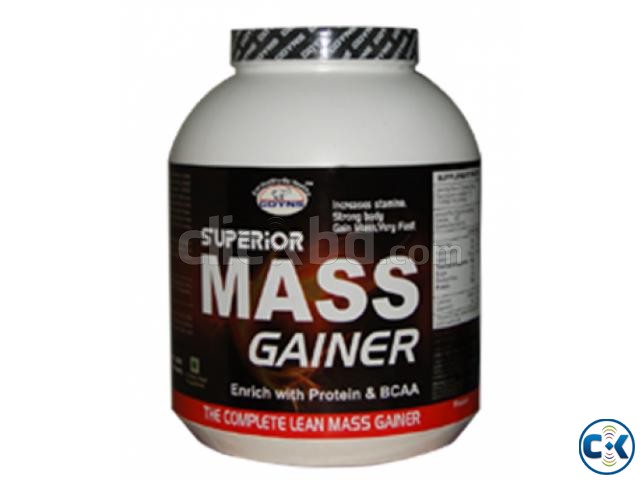 GDYNS Superior Mass Gainer 3000gm large image 0