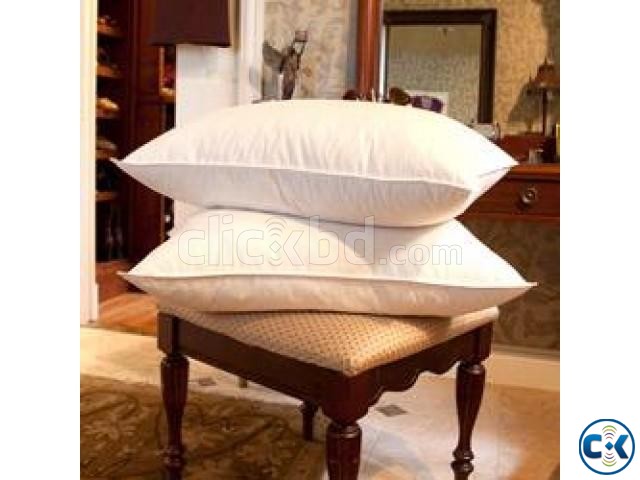 Feather Pillow large image 0