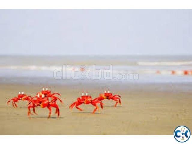 Cox s Bazar oneway air ticket by Novo Ai large image 0