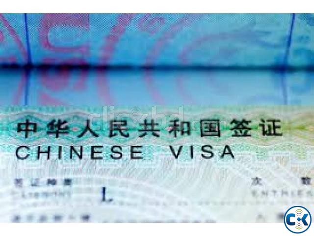 Special Offer for China Visa large image 0