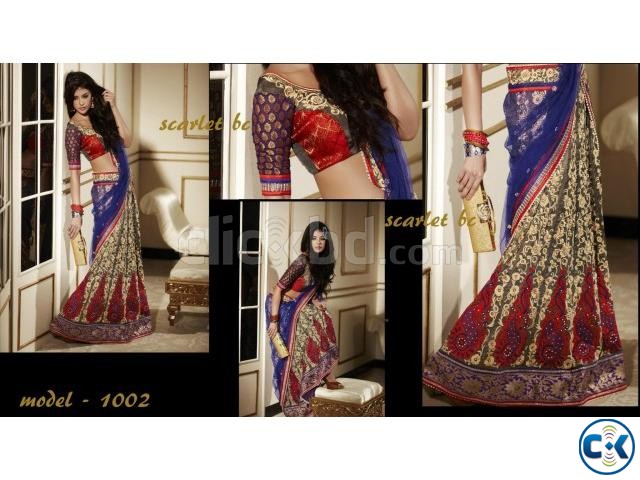 Saree Lehenga large image 0