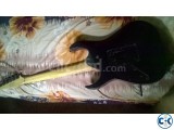 Guitar n SKB