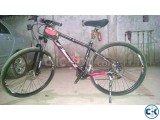 Upland leader 300 29er Highly upgraded