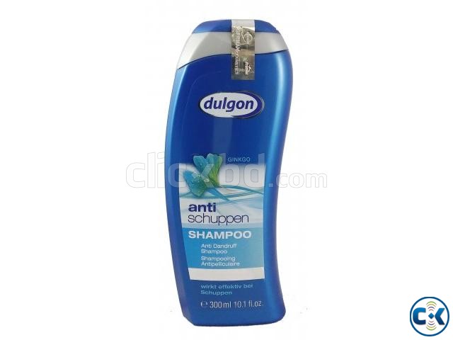 dulgon feige ginkgo anti schuppen shampoo large image 0