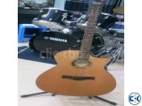 Guson Acoustic Guitar