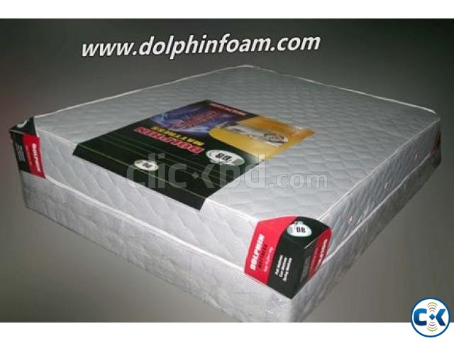 Dolphin Mattress large image 0