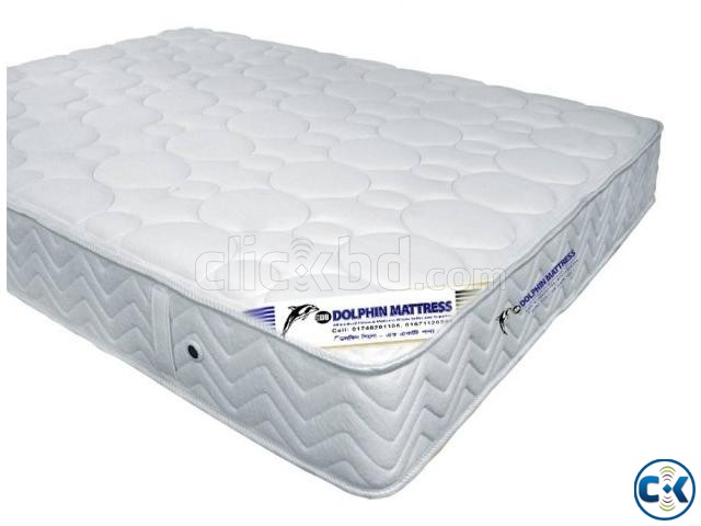 Dolphin Mattress large image 0