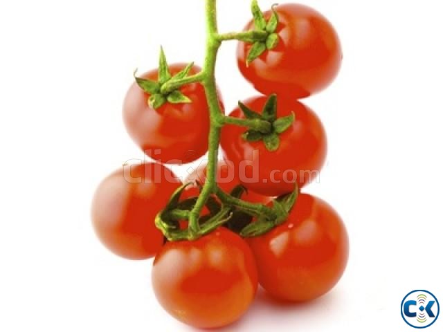 Cherry Tomato Seeds 20 pcs large image 0