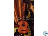 Fender Acoustic MA-1 Urgent 