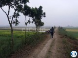 Chipest Agro Land Bside Savar