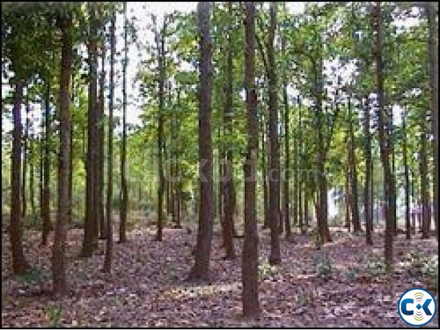 Land for sale in Rajendrapur Shripur large image 0