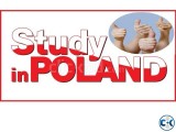 Study In Poland