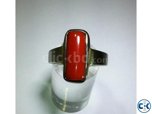 Natural Red Coral রক্ত প্রবাল large image 0