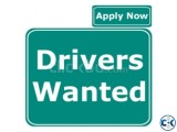 Driver Job