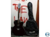 Acoustic Guitar