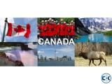 Study in Canada