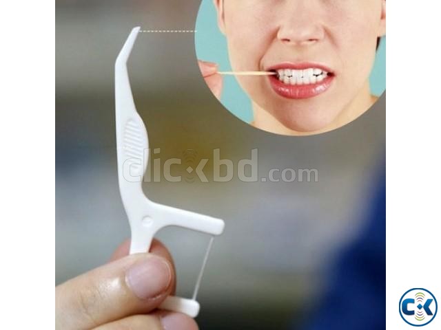 DENTAL FLOSS PICKS large image 0