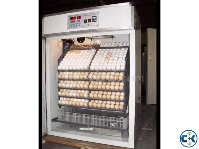 Incubator ইনকিউবেটর বাচ্চা ফোটানোর মেশিন large image 0